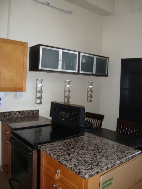 12 Stoneholm St Unidad 519