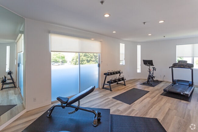 Gym - 8600 Burton Way