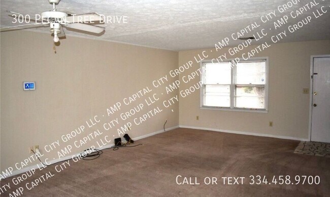 Photo - 300 Pecan Tree Dr