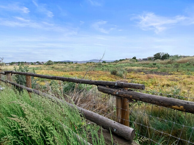 The entire area around the property is a bird reserve.