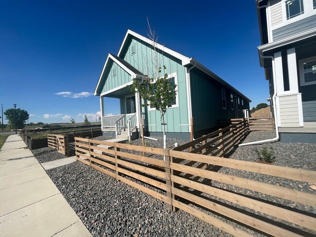 Photo - New Home in North Fort Collins