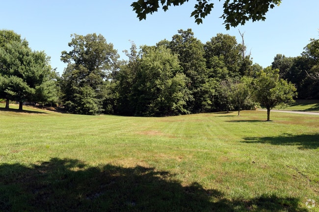 Courtyard View - Forsythia Court