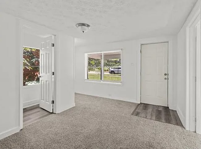 Photo - NOW AVAILABLE!!