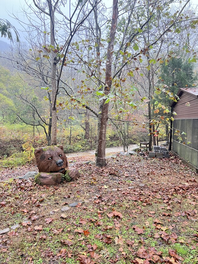 Photo - 2634 Cedar Creek Rd