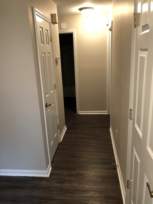 Photo - 5204 Amity Springs Dr