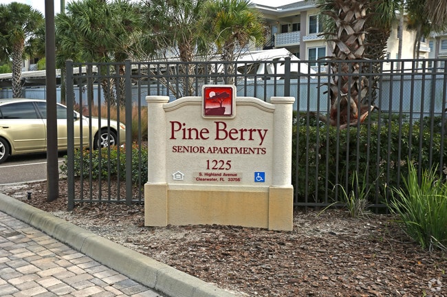 Pine Berry Senior