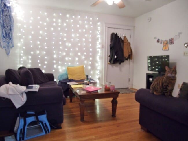 Photo - BRIGHTON 4 BED/2 BATH AVAILABLE 9/1 ~ HT/HW INCLUDED, GREEN LINE ACCESS