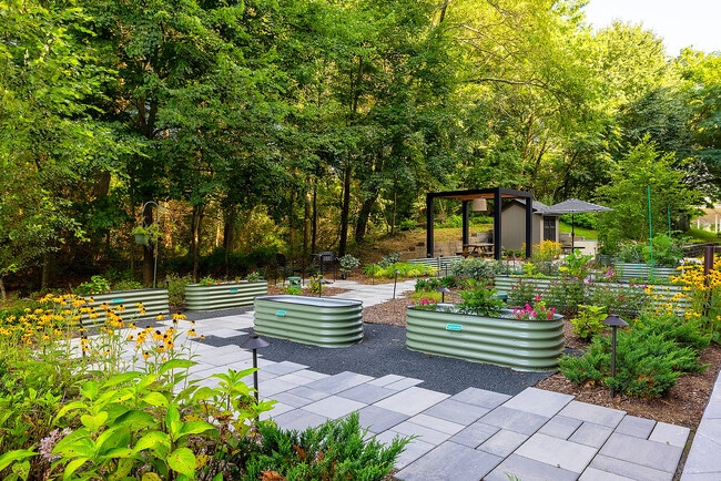 Zen Garden