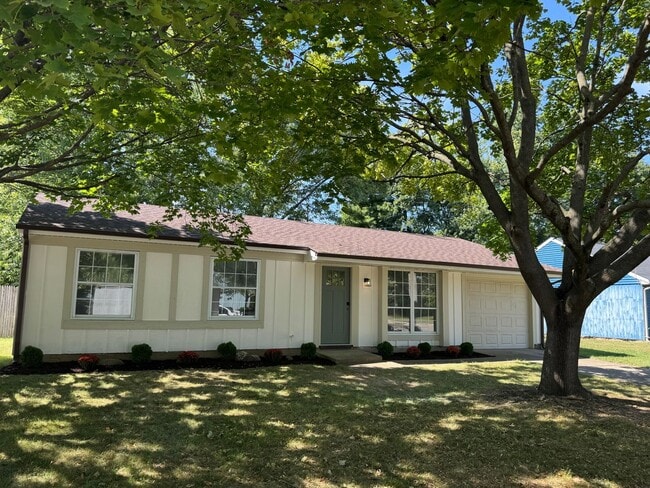 Remodeled Three Bedroom Single Family Home... - Remodeled Three Bedroom Single Family Home...