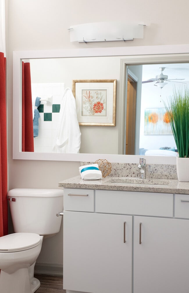 IMG_3999 - 1000 Spalding