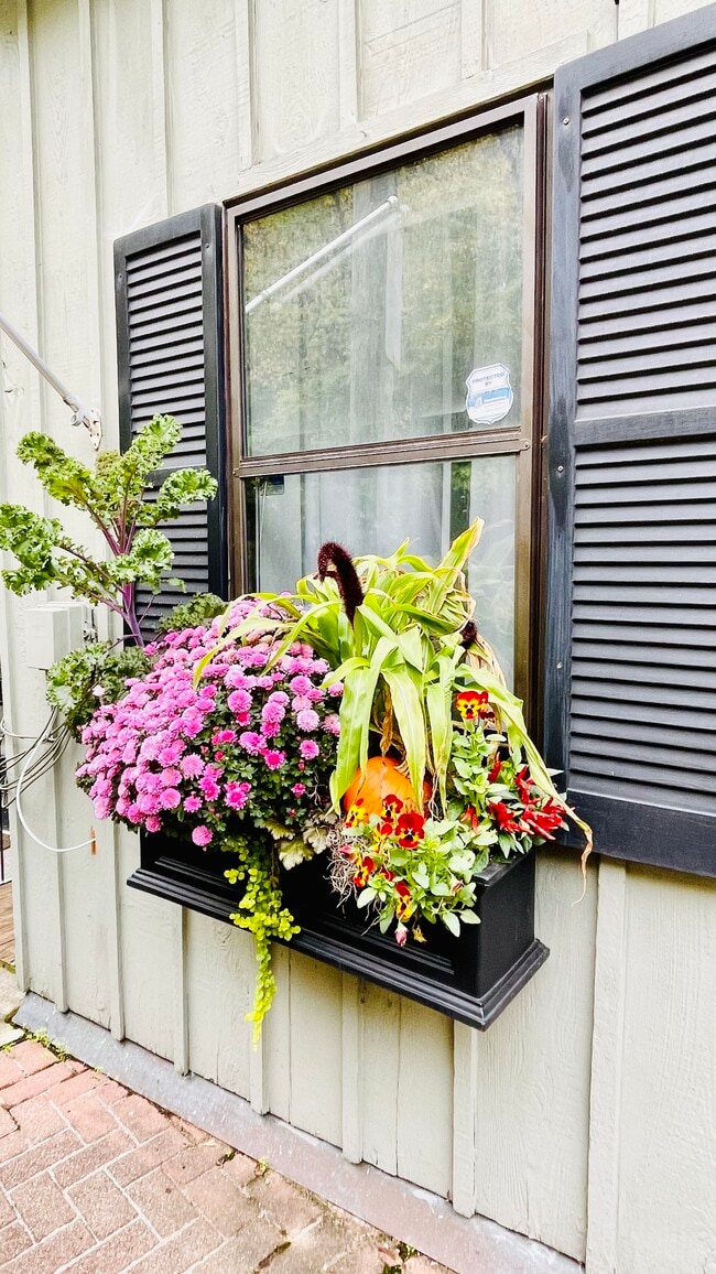 Jardín delantero/Entrada - 1005 Hill St Unidad A