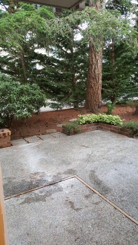 Photo - 1461 Rainier Ct Unidad 2