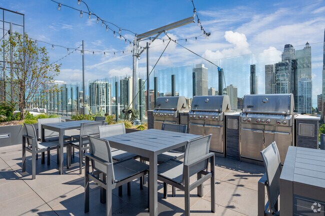 Roof Grills