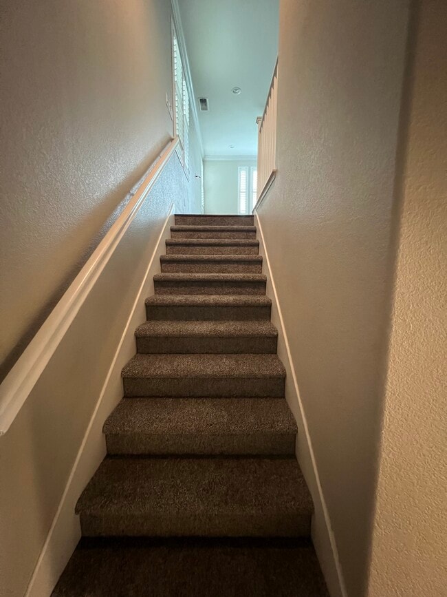 stairs to the middle level with railing , new carpet - 2904 Worthing Cmn