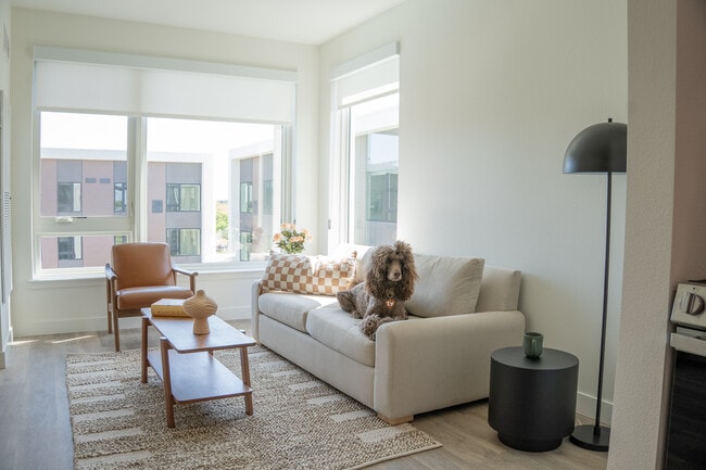 1 Bedroom Living Room - Greenhaus