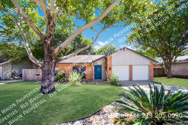 Photo - 13906 Tangle Tree St