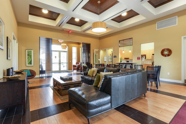 Photo - Orchid Grove