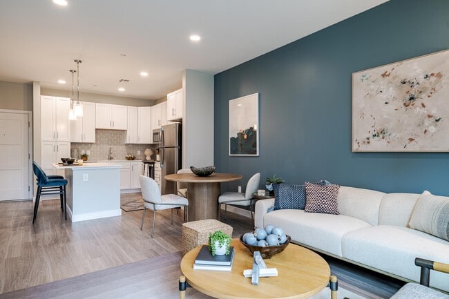 Photo - Aster at the Summit