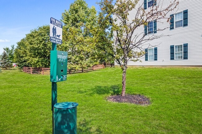 Outdoor Pet Stations
