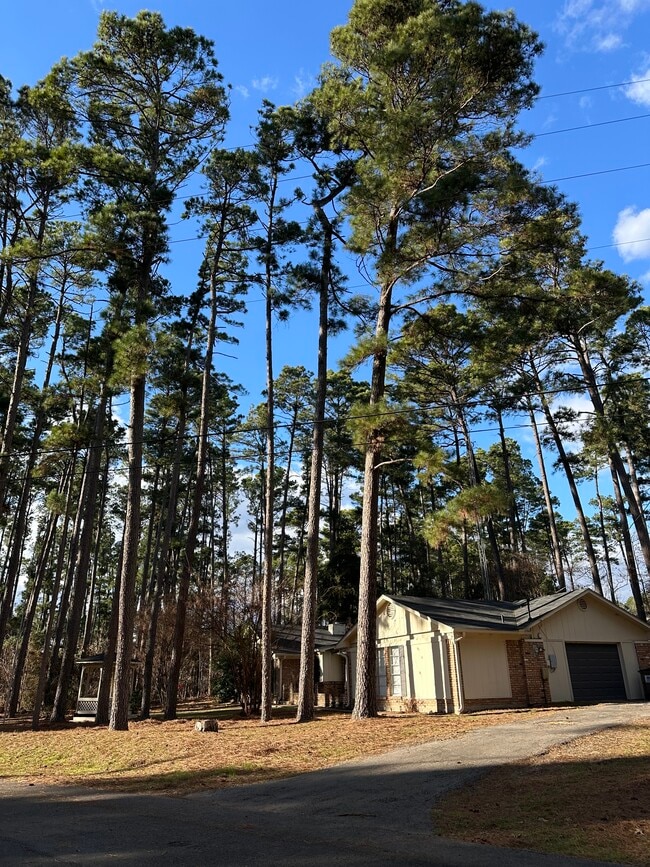 Building Photo - 509 Green Meadow Trail