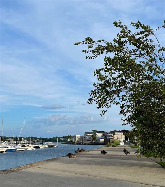 Photo - 48 Prince St Unidad 1