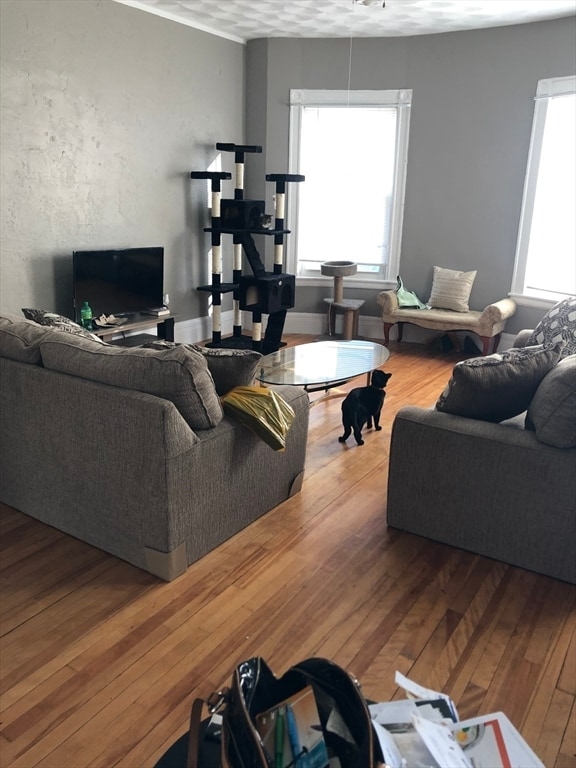 Photo - 23 Stoneland Rd