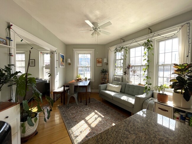 Photo - 374 Chestnut Hill Ave Unit 4