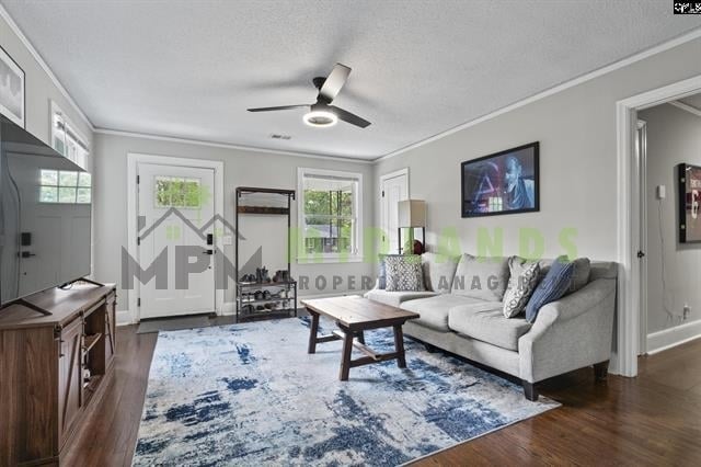 Photo - 1514 Hibiscus St