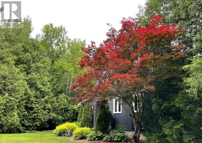 Photo - 516666 7 Line