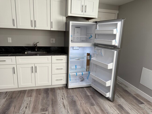 1342 Hillsboro Dr Unidad Basement