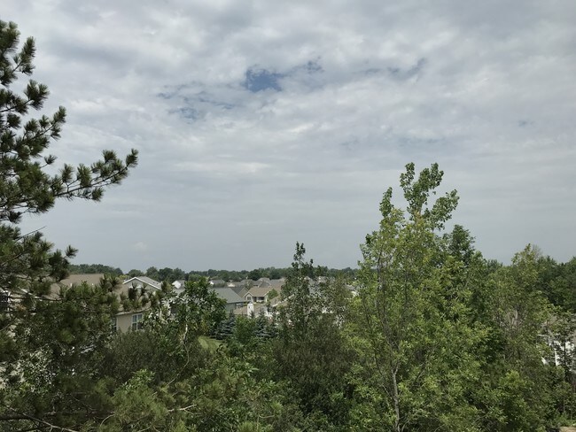 The Woods at Bayview
