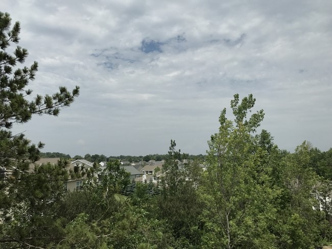 Photo - The Woods @ Bayview