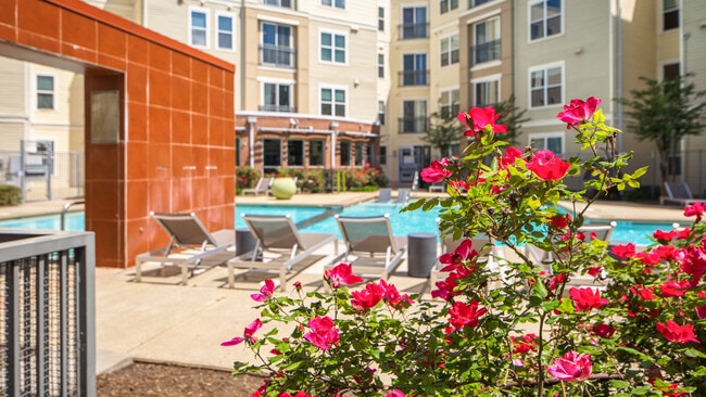 Proximity at ODU