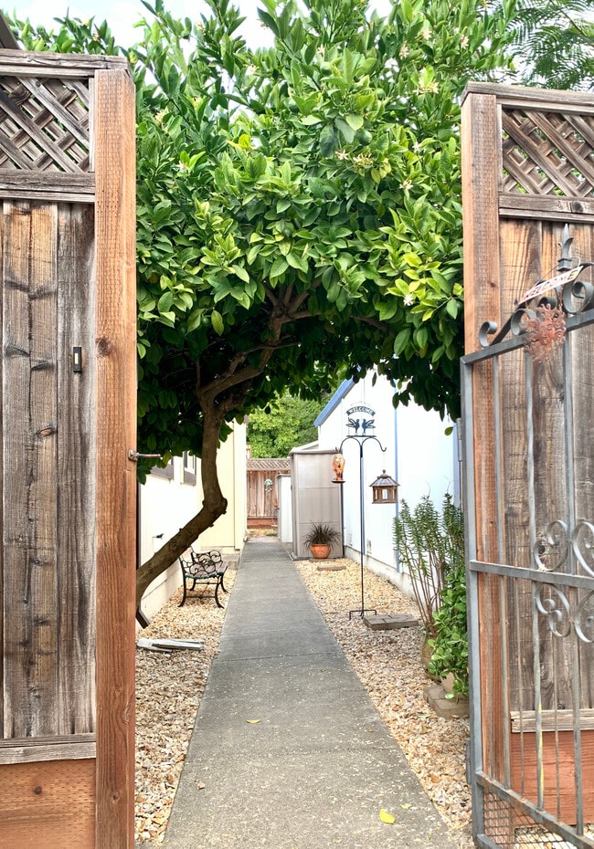 Photo - 1056 Peggotty Pl