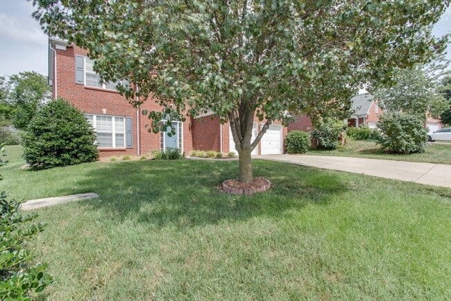 Photo - 1510 Chestnut Springs Rd