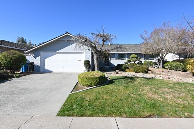 Building Photo - 1336 Buchanan Dr