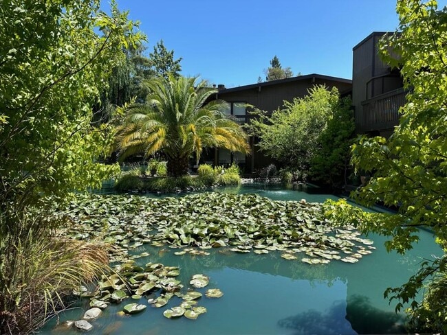 Photo - 2422 Larkspur Ln
