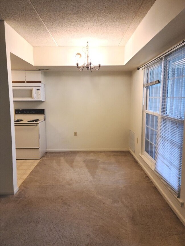 Affordable One Bedroom near Downtown Frede... Condo Condo for Rent in