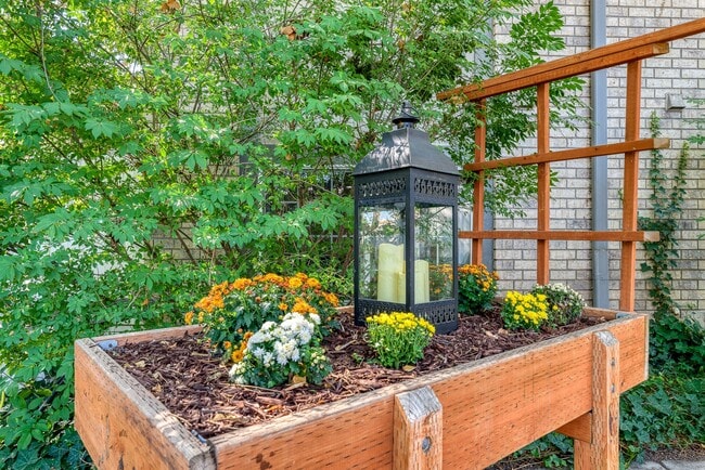 Outdoor Living