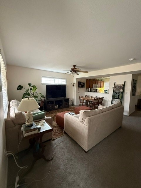 Photo - 1014 Andrews Peak Dr