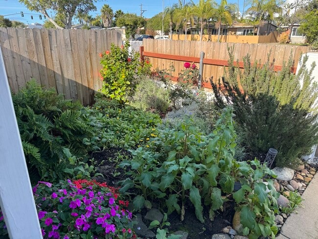 Photo - 3427 Clairemont Mesa Blvd