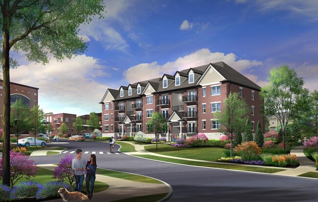 Exterior Rendering