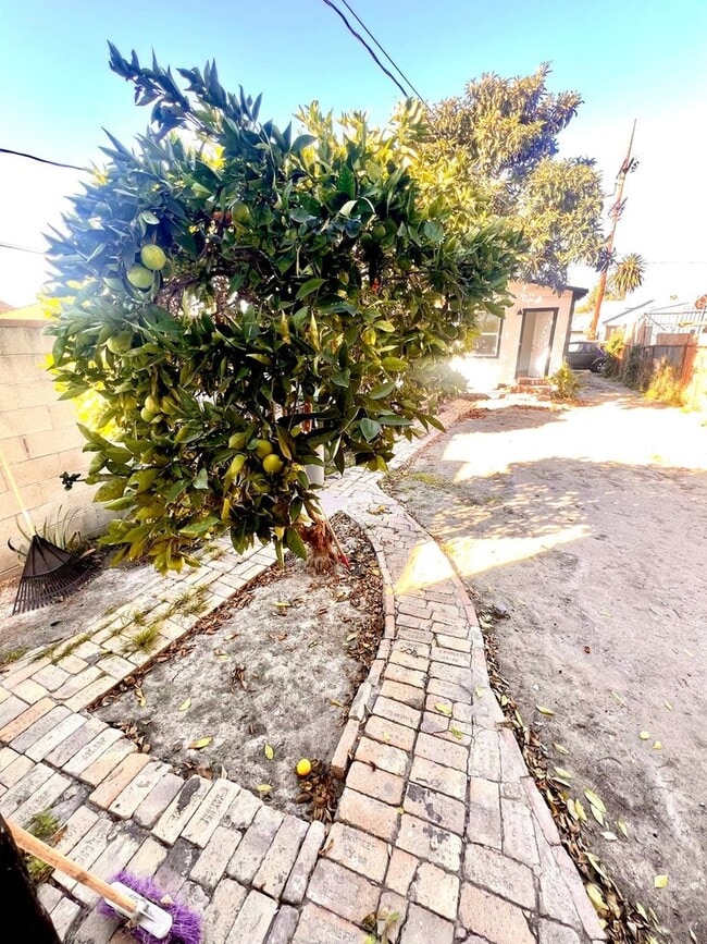 Photo - 2117 E 112th St