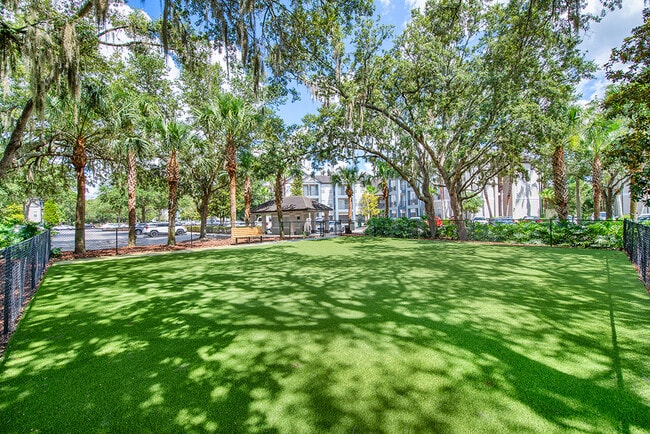 MAA Tampa Oaks