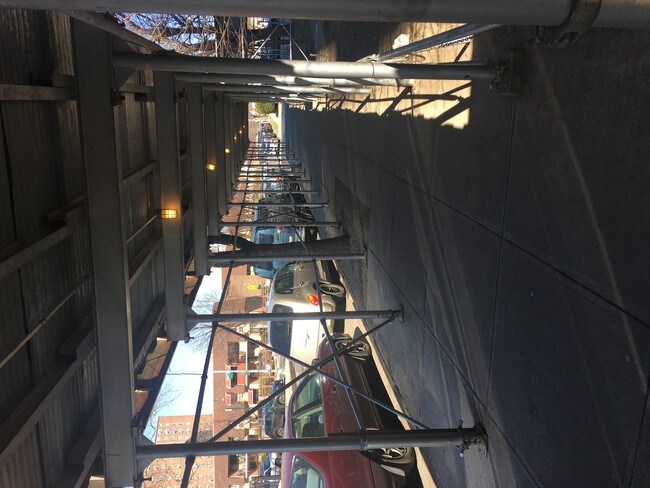 Photo - Carol Gardens