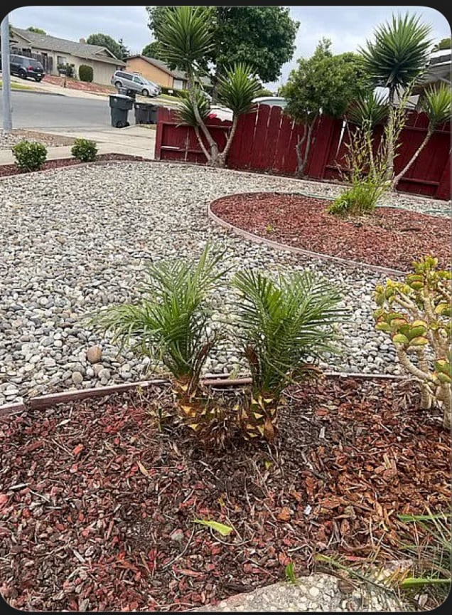 Photo - 808 Colton Dr