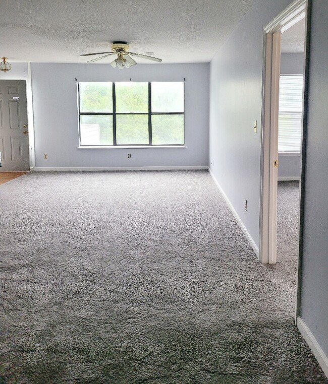 Photo - 100 Brighton Hill Rd