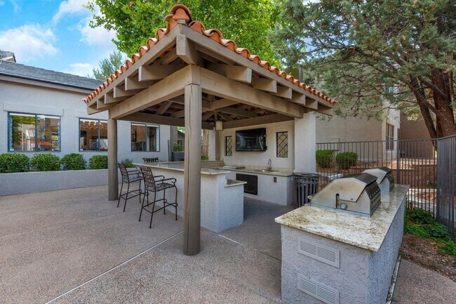 Outdoor BBQ and Kitchen