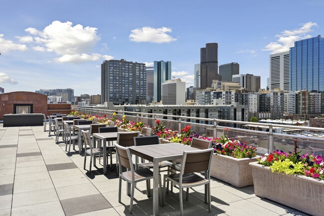 Premier Lofts