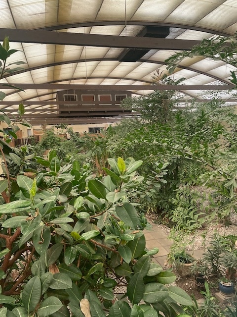 Copa 1 Building with interior garden. All units have access with balcony or patio. - Cabana Apartments